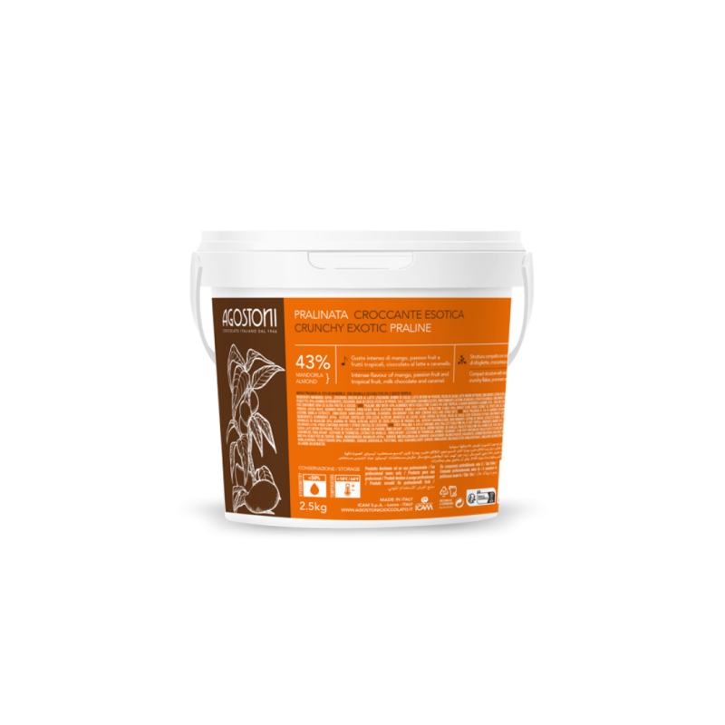 PRALINÉ CRUJIENTE EXÓTICO ALMENDRA 51% (CU/2.5KG)