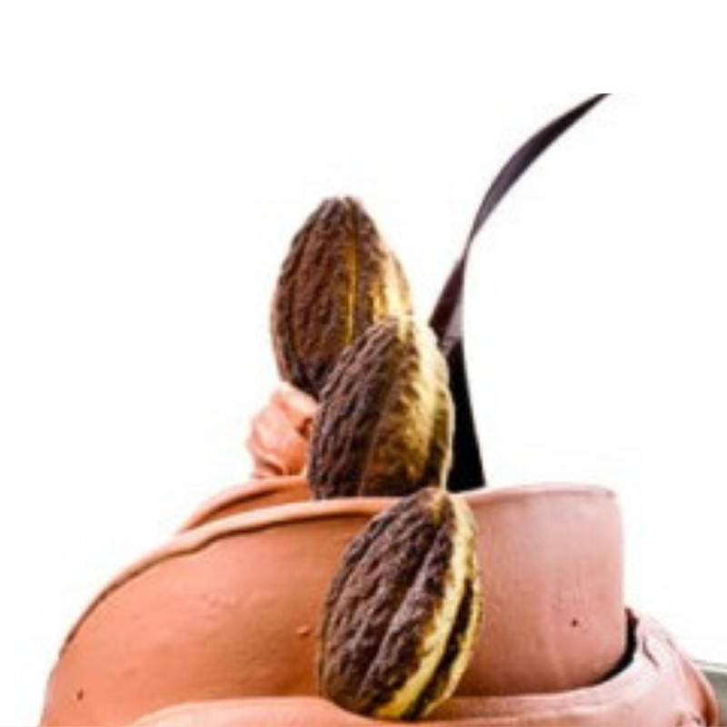 THERMOCOMPAT CHOCOLATE FINE