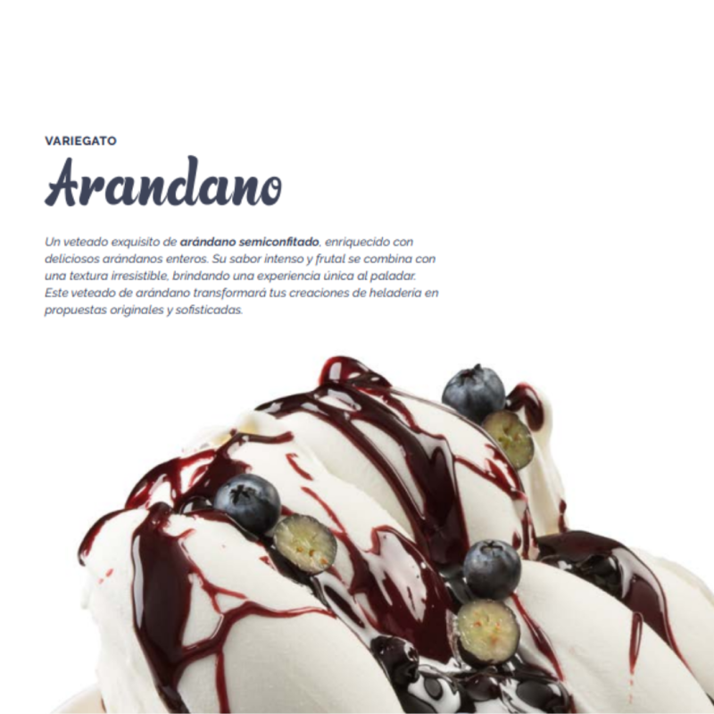 VETEADO ARANDANO (BO/4KG)