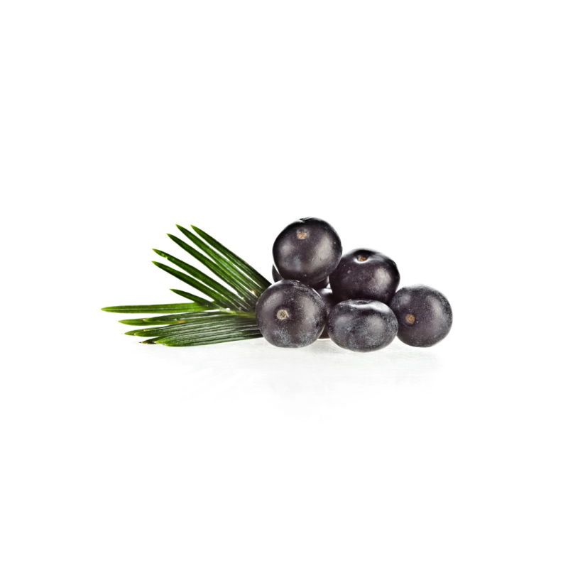 PURE CONGELADO AÇAI 100% (T/1KG)