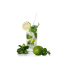 VANCREMA MOJITO