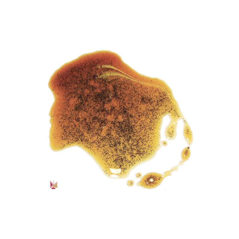 EXTRACTO LIQ. VAINILLA BOURBON  NAT MADAGASCAR(1L)