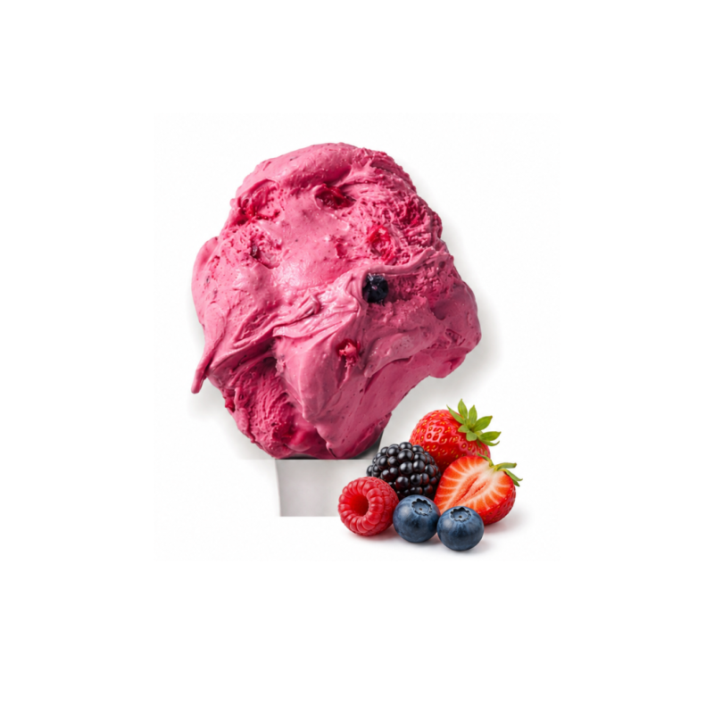 PREP.GELATOMIX PRALINE FRUTS ROJOS (C/2BX4.5KG)