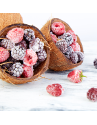 FRUTAS CONGELADA, PULPA NATURAL Y ZUMOS CONGELADOS