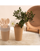 MENAJE DESECHABLE PARA LLEVAR