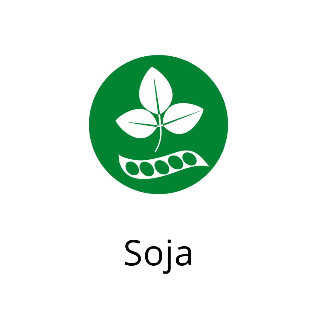 Soja